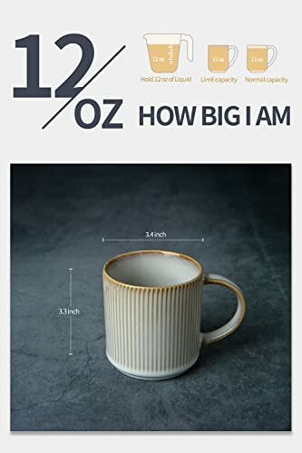 Ceramic mug with size dimensions and 12 oz capacity illustration.